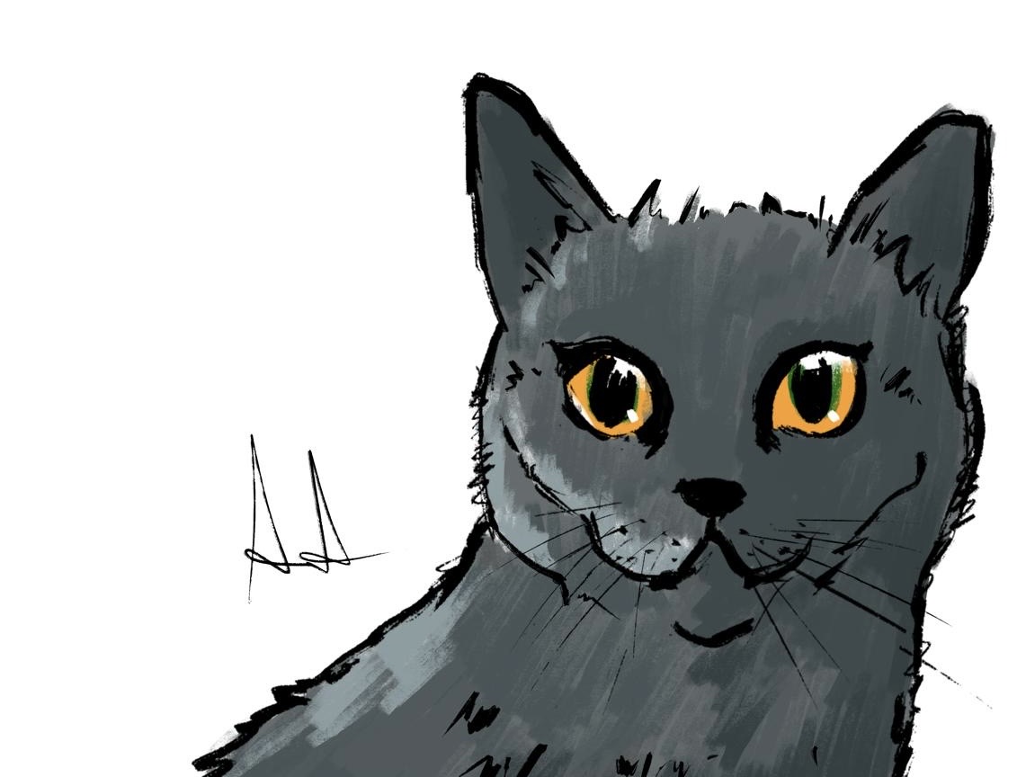 Disegno di Nanette, gatta grigia dagli occhi gialli